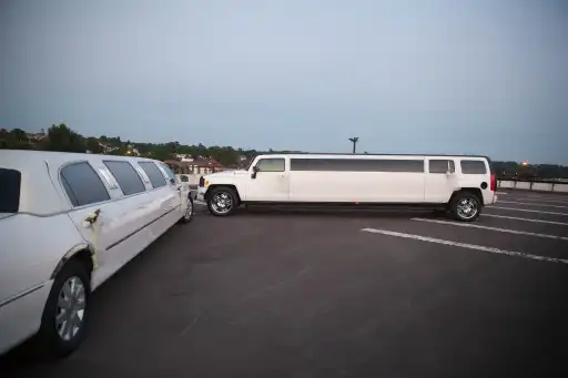 Logo limousine