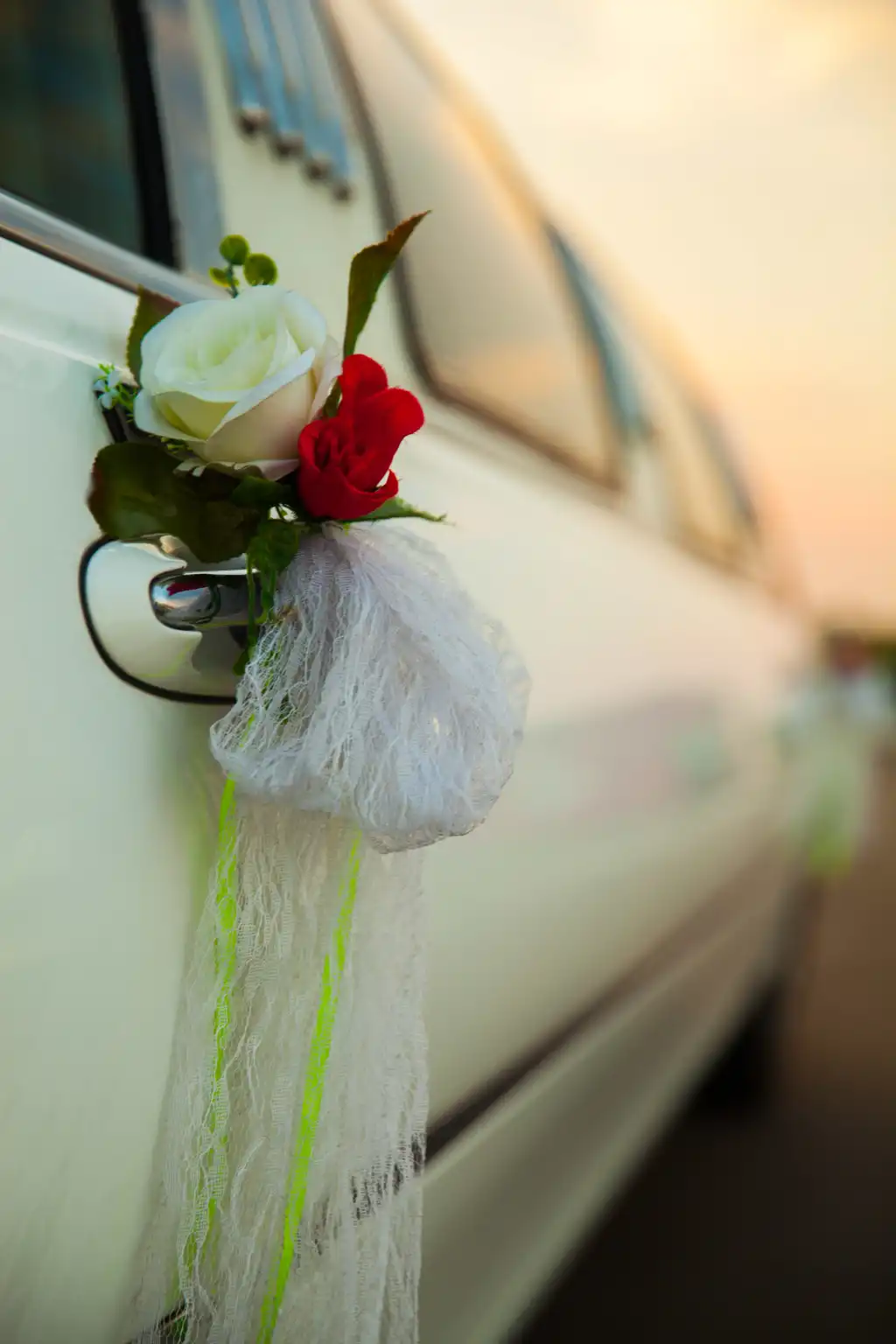 Fleur sur la porte du limousine